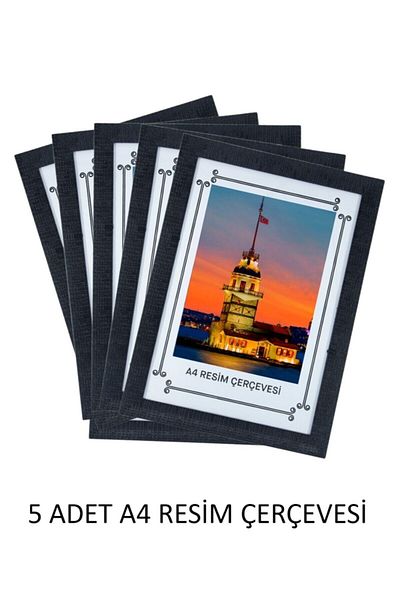 AS TİCARET A4 Frame 1stClass 22mm Pack of 5 (COLOR: BLACK) Back Cardboard PVC Model