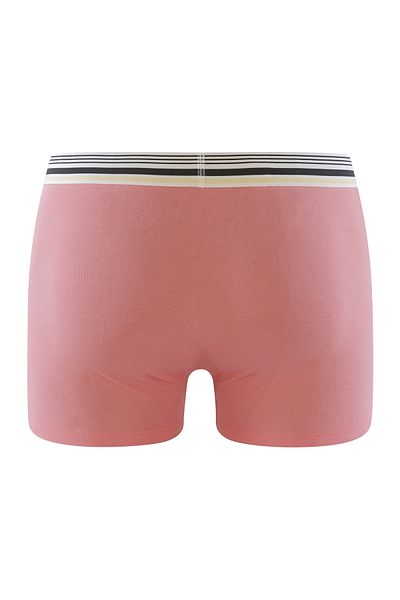 DIM Boxer Smart