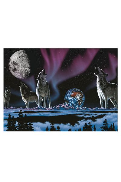 Art Puzzle Song of the Universe 1000 Piece Puzzle