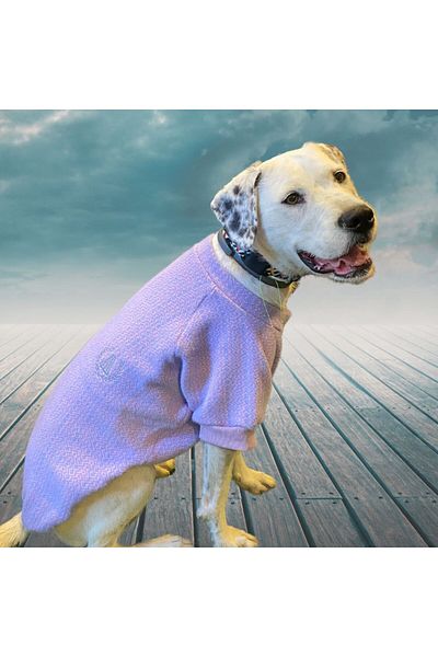 Alphadog Lilac Medium-large Breed Dog Sweater