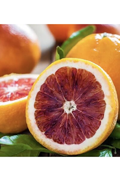 Kırmızı portakal 1 kg