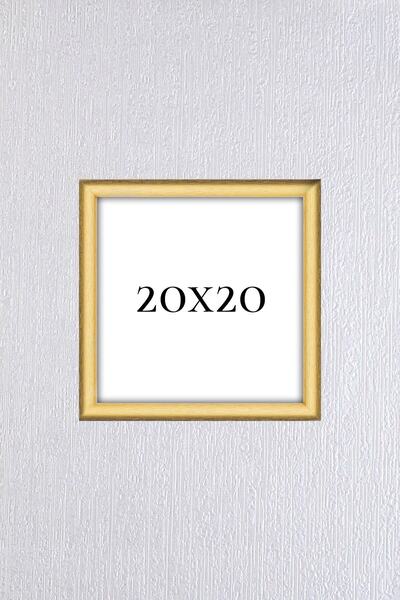 AS TİCARET Gold Fotoğraf Çerçevesi 20x20