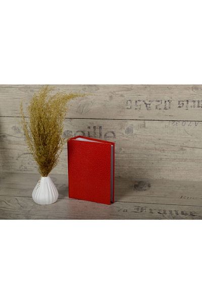 AS TİCARET 100 Piece Skin Cloth Album