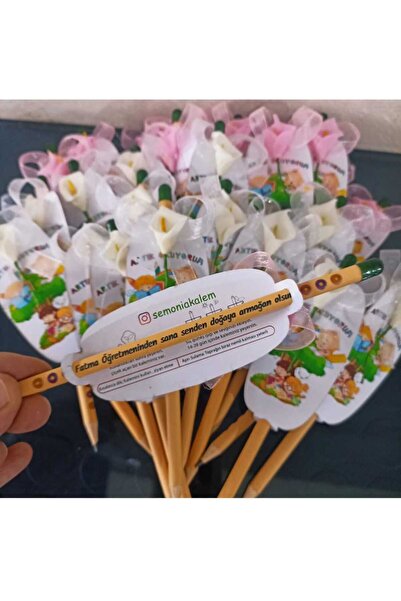 Wi Fro Kişiye Özel Okuma Bayramı Hediyesi 30 Adet Tohumlu Kalem/Sipariş numar...