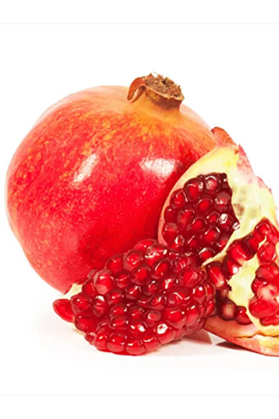 Doğan Fidancılık Çekirdeksiz Nar 2 Yaşında Tüplü Fidan