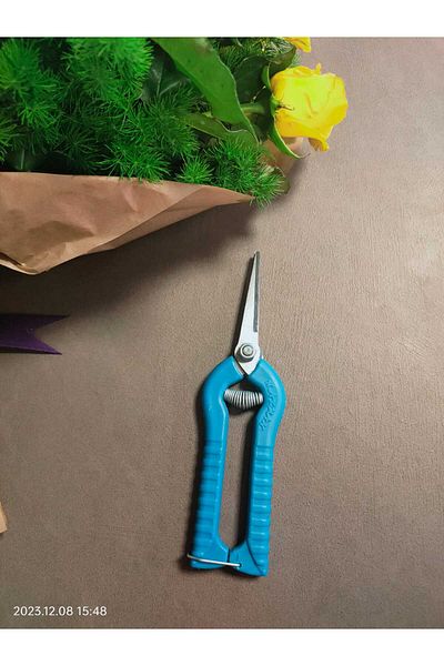 Akman Grape Tie Scissors Pointed Tip 5 Pieces