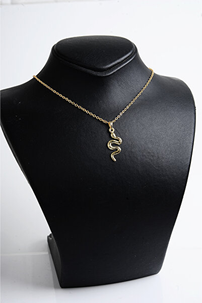 EUROMODA Snake Design Gold and Silver Colors Necklace Earring Set