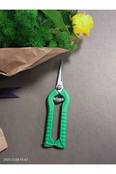 Akman Grape Tie Scissors Pointed Tip 5 Pieces