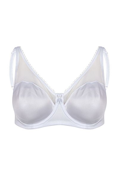 BSM Women's Underwire Wire Gathering Sponge Free Quality Bra