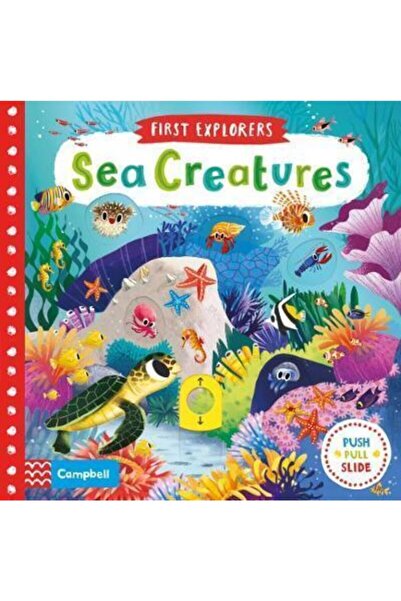 Arkadaş Yayıncılık Sea Creatures (first Explorers)