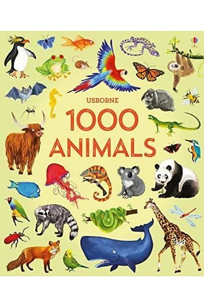 Usborne New440583 Model Animals - 1000 Pictures
