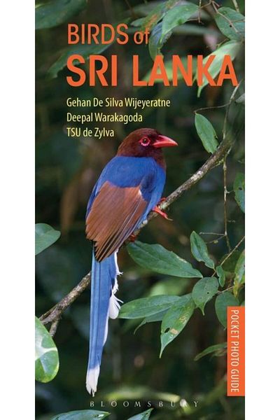 Arkadaş Yayıncılık Birds Of Sri Lanka