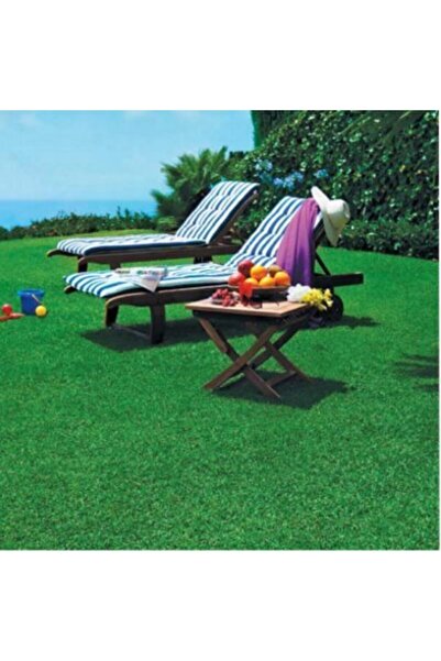 Grass Seed 6-Piece Mix 1kg Hot Climate Salt Water Moisture Resistant Sun Resistant.