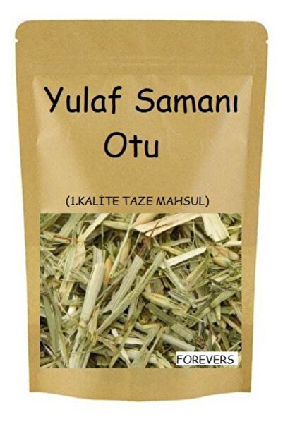 forevers Yulaf Samanı Otu 90 Gr