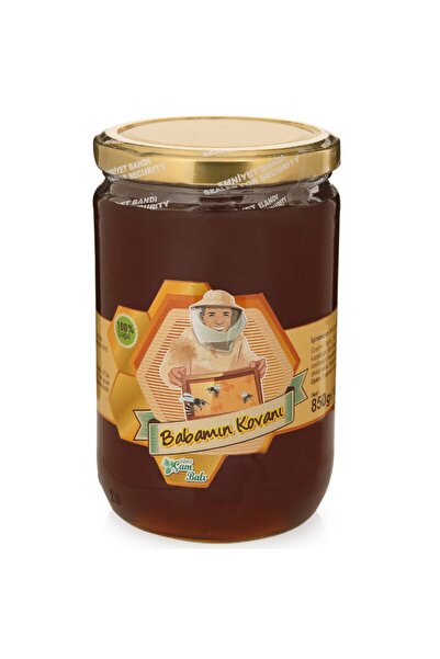 BABAMIN KOVANI Kozak Yaylası Süzme Çam Balı 850g Ham Bal