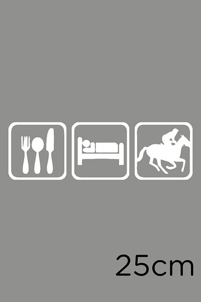 New Jargon Eat Eat Sleep And Jockey Hunt Autocolant 25cm - Alb
