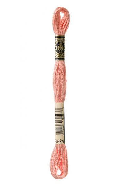 Dmc 2 Muline Yarns with Number 3824