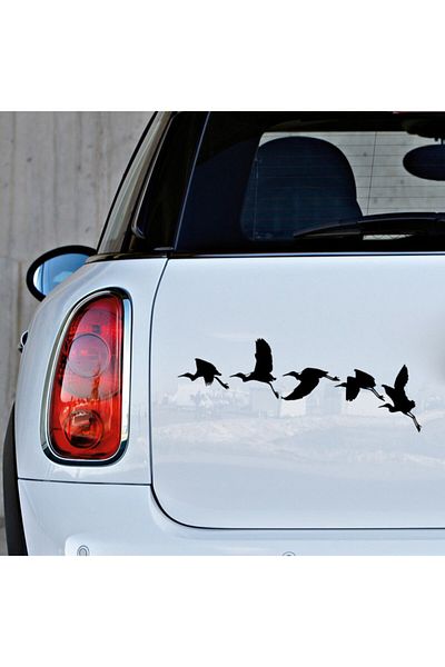 New Jargon Pelicans Flying in Flock Autocolant Lipire 35cm - Negru