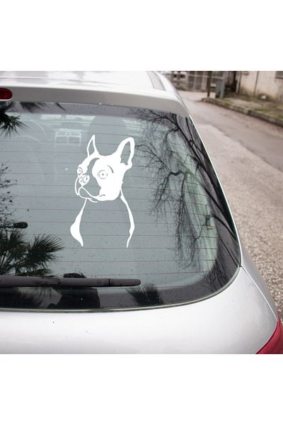 MIGNATIS Atenție Autocolant Boston Terrier Etichetă Lipire 25cm - Alb