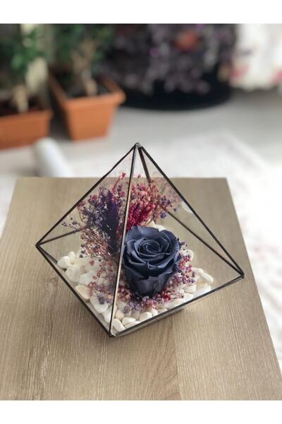 vitrayverteks Solmayan Gül Gri Teraryum Cam Fanus