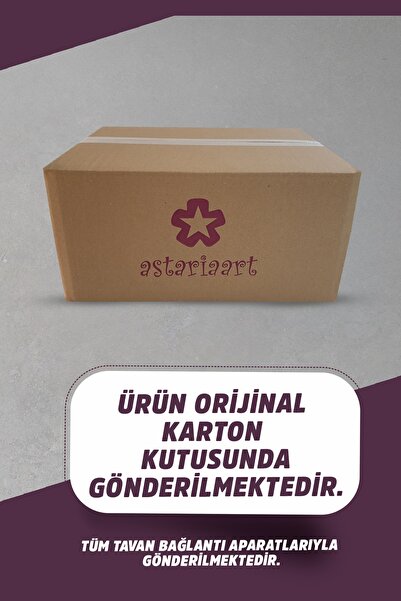 Astariaart Mor Dream Swing Salıncak