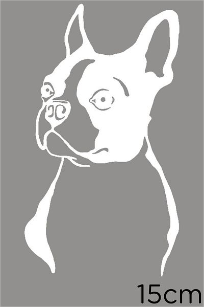 New Jargon Atenție Autocolant Boston Terrier Etichetă de lipire 15cm - Alb