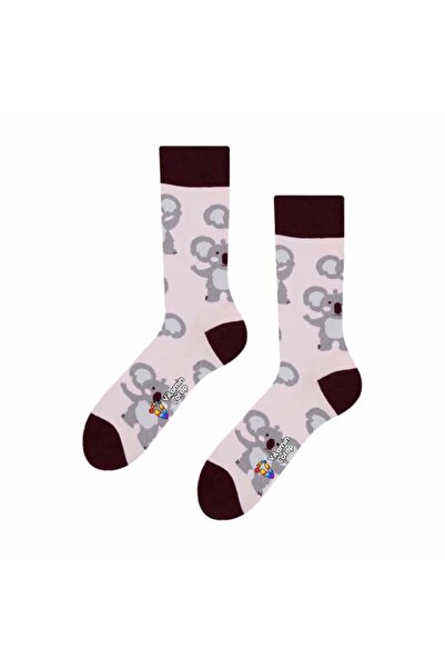 Limmon Store Koala Heads Colorful Socks