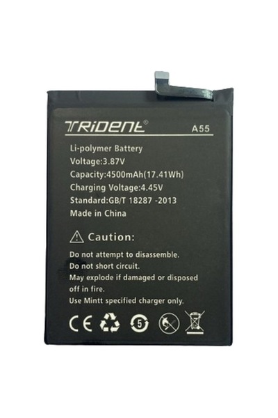 AXYA Trident A55 Pil Batarya 4500 Mah + Tamir Seti
