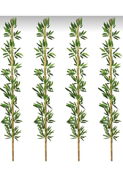 RUZGARCİCEK Rüzgar Yapay Çiçekçilik 220 cm Bambu 4 Adet