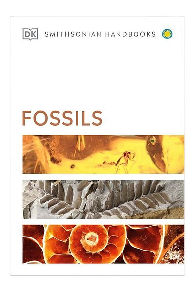 Dk Yayınları Fossils