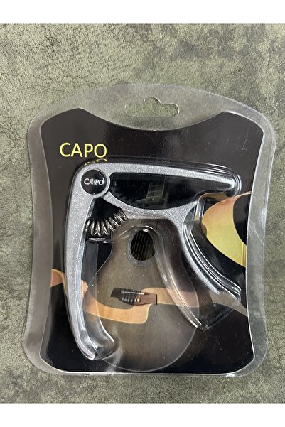 Diyar Saz Evi Profesyonel Gitar ve Bağlama Kaposu (Gri)