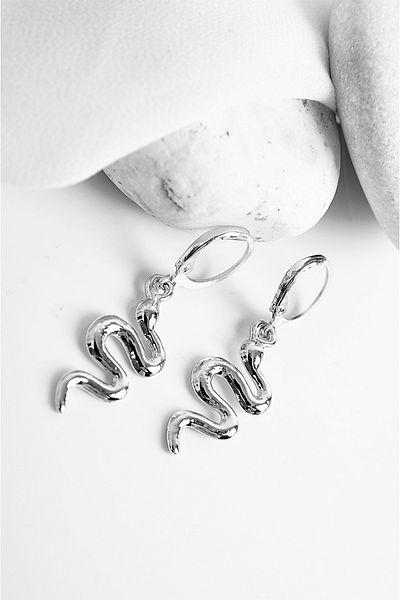 EUROMODA Snake Design Gold and Silver Colors Necklace Earring Set