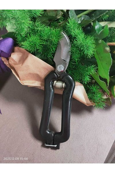 Ergün ERGÜN BUDDING SCISSORS 2-PACK