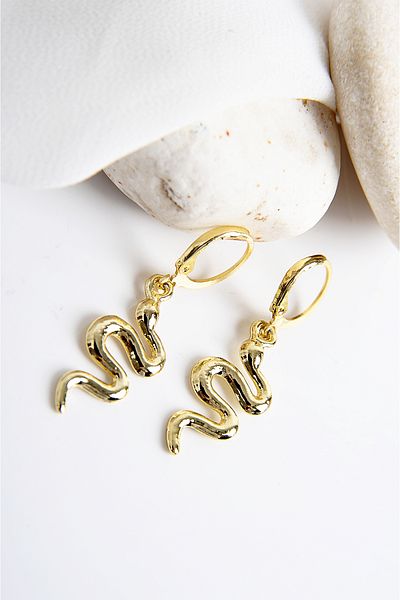 EUROMODA Snake Design Gold and Silver Colors Necklace Earring Set