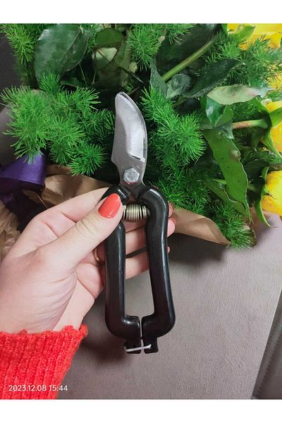 Ergün ERGÜN BUDDING SCISSORS 2-PACK