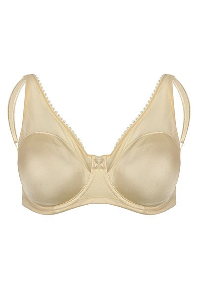 BSM Women's Underwire Wire Gathering Sponge Free Quality Bra