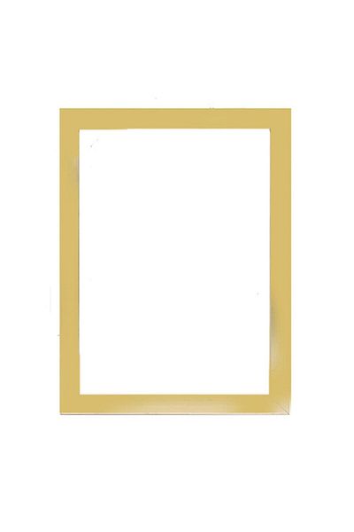 AS TİCARET 40x50 Frame (Without Poster) - Gold