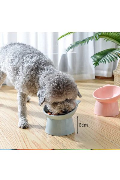 LUCKYHOMES Cat and Dog Food and Water Bowl