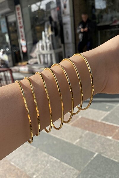 Erer Gümüş Gümüş Üzeri 22 Ayar Altın Kaplama Ince Kibrit Çöpü Ajda Bilezik