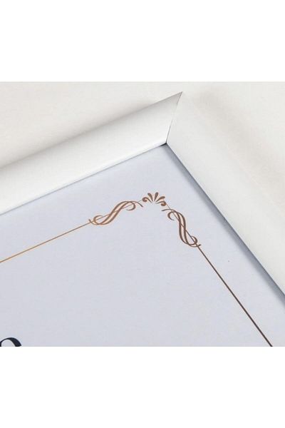 AS TİCARET 21x30 Document Document Certificate Frame Photo Poster Frame