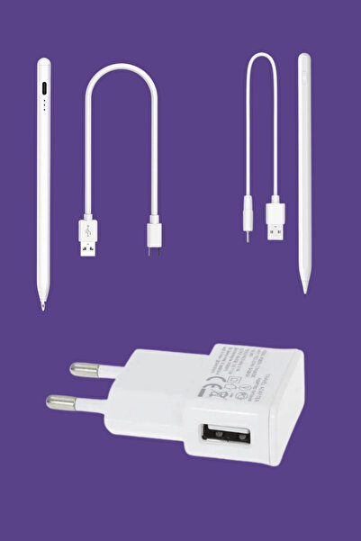 Fuchsia Stylus Kalem 5V 1A Seyahat Duvar USB Şarj Adaptörü