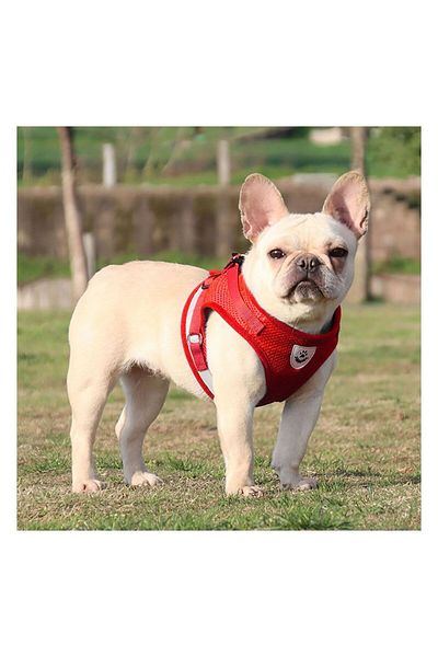 FloriaShopping Breathable Reflective Body Collar for Dogs and Cats