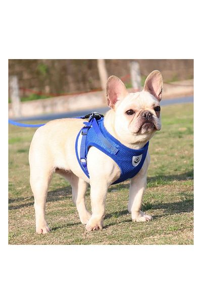 FloriaShopping Breathable Reflective Body Collar for Dogs and Cats