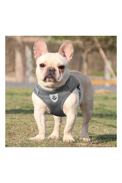 FloriaShopping Breathable Reflective Body Collar for Dogs and Cats