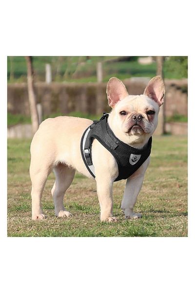 FloriaShopping Breathable Reflective Body Collar for Dogs and Cats