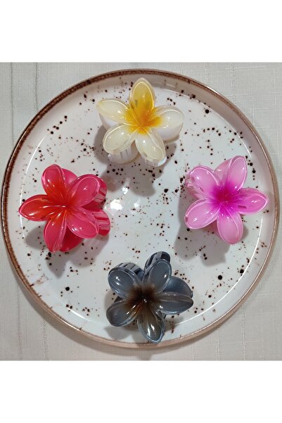 TETHOME Rengarenk Lotus Çiçeği Mandal Toka 4'lü 8 CM