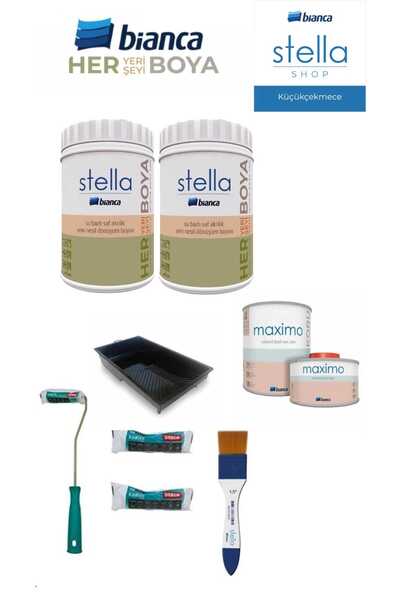 Bianca Stella Su Bazlı Boya Banyo Boyama Seti