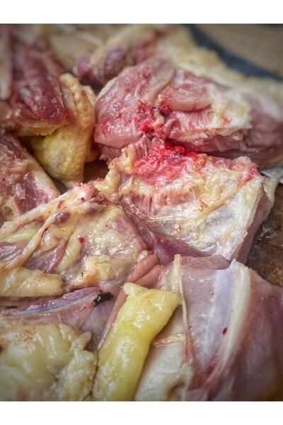 Demirciköy Çiftlik Yerli Siyah Köy Hindisi 4400-4800 gram