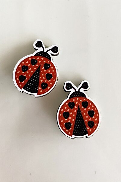 TAKIŞTIR Double Ladybug Figured Children's Clamp Buckle Set