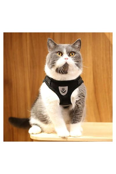 FloriaShopping Breathable Reflective Body Collar for Dogs and Cats